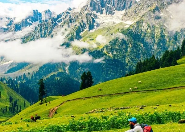 Enchanting Srinagar Getaway: 5 Nights/6 Days Tour from Srinagar to Gulmarg, Pahalgam, and Doodhpathri