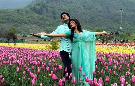 Kashmir Honeymoon Tour: 5 Nights/6 Days Journey Through Srinagar, Gulmarg, Sonamarg, Pahalgam, and Local Attractions